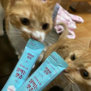 페페로니 잘 먹는 캣츄 - 원양선 참치 24개입 — 5점을 준 리뷰어가 2021년 10월 올린 사용 사진