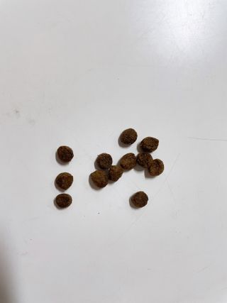 뿅아리님이 올린 리뷰 사진 3