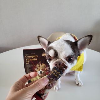 mini unni님이 올린 리뷰 사진 2