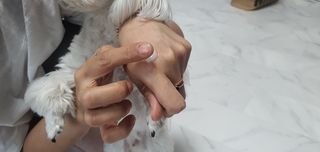 버츠비 케어플러스 릴리빙포앤노즈로션 — 5점을 준 리뷰어가 2021년 4월 올린 사용 사진