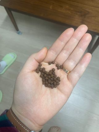정주리님이 올린 리뷰 사진 4