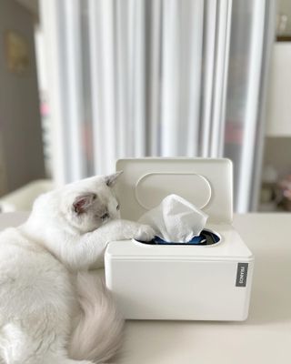 ccoyo님이 올린 리뷰 사진 4