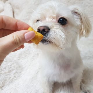 mejoom님이 올린 리뷰 사진 3