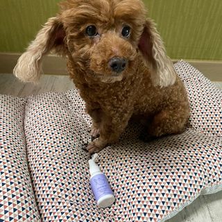 다짱님이 올린 리뷰 사진 3