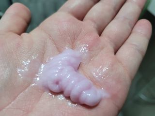 망고진님이 올린 리뷰 사진 3