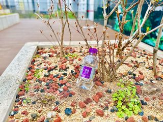 몽베스트 [MONTBEST] 330mL 20병 — 5점을 준 리뷰어가 2024년 3월 올린 사용 사진