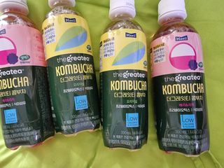 더그레잇티 콤부차 [매일유업] 더그레잇티 44kcal 콤부차 300ml *12개입 (오리지널 6개+베리리치 6개) — 5점을 준 리뷰어가 2023년 7월 올린 사용 사진