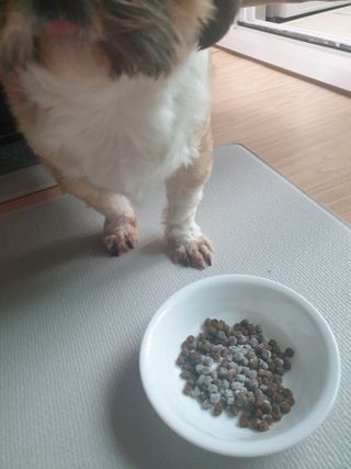 보리엄마님이 올린 리뷰 사진 3