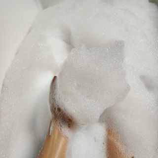 로지님이 올린 리뷰 사진 4