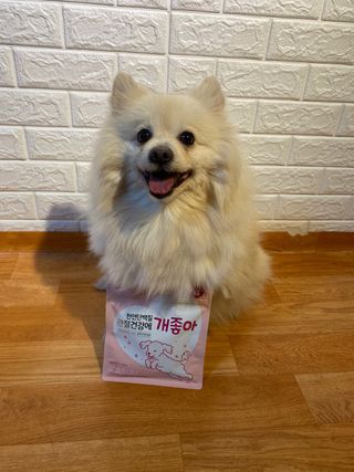My Pet Care 천연단백질 관절건강에 개좋아 — 5점을 준 리뷰어가 2021년 2월 올린 사용 사진