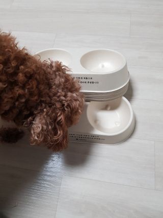 준맘님이 올린 리뷰 사진 3