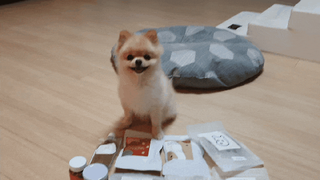 보미누나님이 올린 리뷰 사진 1