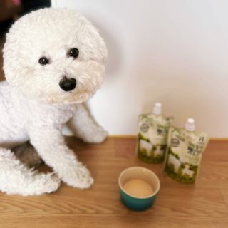 정민트님이 올린 리뷰 사진 1