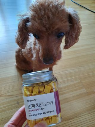 ReaLee님이 올린 리뷰 사진 3