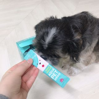 펫시랩 반려견용 액상 프리바이오틱스 아쿠아펫 — 5점을 준 리뷰어가 2021년 1월 올린 사용 사진