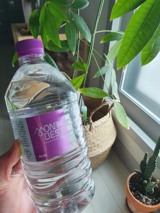 몽베스트 MONTBEST 1L 12입 — 5점을 준 리뷰어가 2022년 4월 올린 사용 사진
