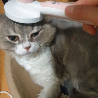 소이양님이 올린 리뷰 사진 3