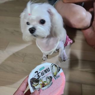 스카이보스님이 올린 리뷰 사진 2