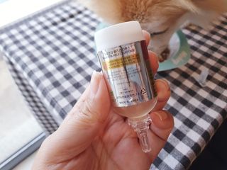 무지조타 반려동물용 꽃으로만든영양제 헬리코디펜스 15ml — 5점을 준 리뷰어가 2021년 8월 올린 사용 사진
