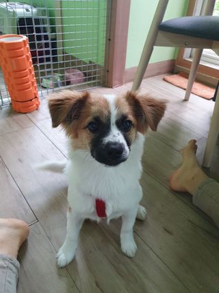 이쁜정똥이님이 올린 리뷰 사진 4