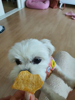 뽀오오옹님이 올린 리뷰 사진 3