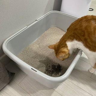 져니님이 올린 리뷰 사진 4