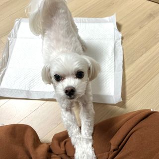 넝니님이 올린 리뷰 사진 1