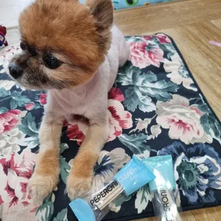 단님이 올린 리뷰 사진 4