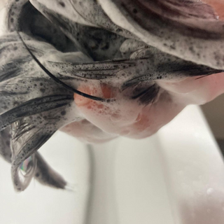 중부리도요님이 올린 리뷰 사진 1
