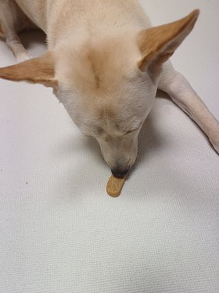 태가맘님이 올린 리뷰 사진 4