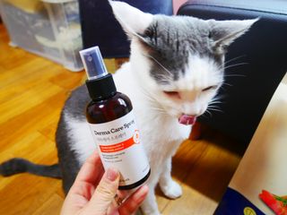 yyyy님이 올린 리뷰 사진 1