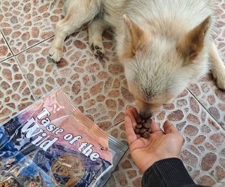고유경님이 올린 리뷰 사진 3
