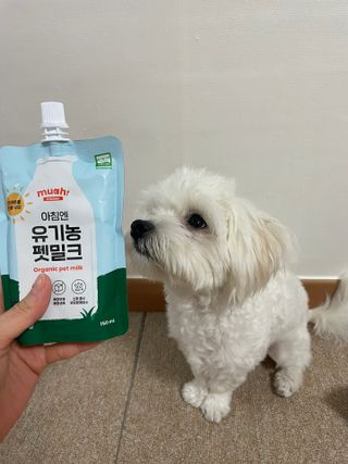 냥냥이님이 올린 리뷰 사진 2