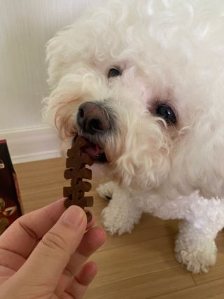 서라님이 올린 리뷰 사진 1