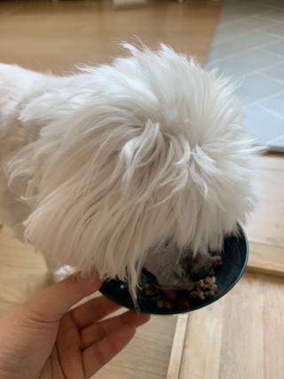 ZiunYang님이 올린 리뷰 사진 3