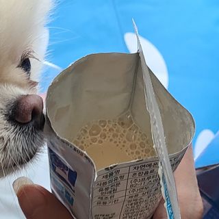 자연에온 마시는 프로틴 고함량 균형단백질 음료 포스틴 125ml 10개입 1BOX — 5점을 준 리뷰어가 2021년 5월 올린 사용 사진