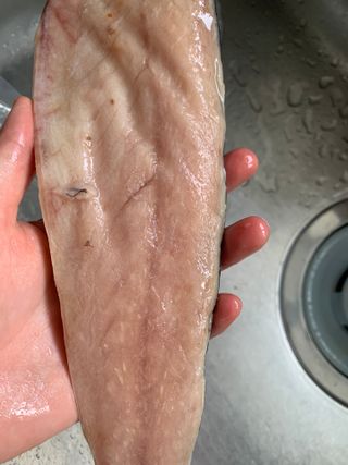 화요일님이 올린 리뷰 사진 4