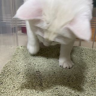 모너아리님이 올린 리뷰 사진 4