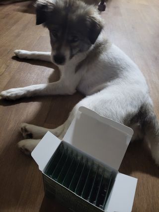 오둥이맘님이 올린 리뷰 사진 2