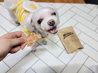 두부님이 올린 리뷰 사진 1