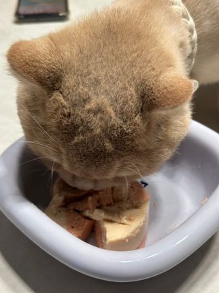 윤짱님이 올린 리뷰 사진 3