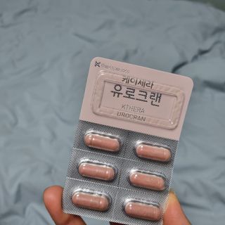 Sun님이 올린 리뷰 사진 2