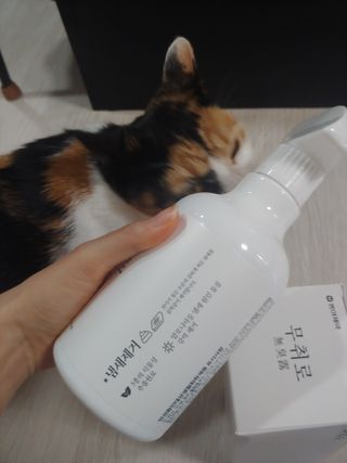 홍제이님이 올린 리뷰 사진 4