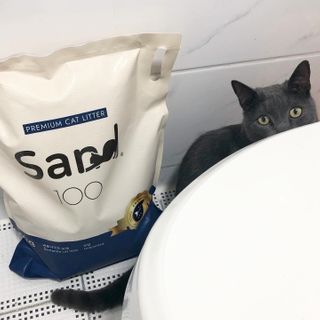 미우미우님이 올린 리뷰 사진 1