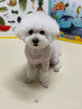 민님이 올린 리뷰 사진 3