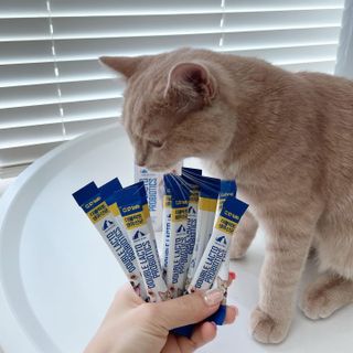 루하님이 올린 리뷰 사진 3