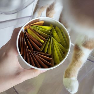 페페로니 맛있는 스틱 - 무항생제 닭고기 15개 + 원양선 참치 15개 — 5점을 준 리뷰어가 2021년 10월 올린 사용 사진