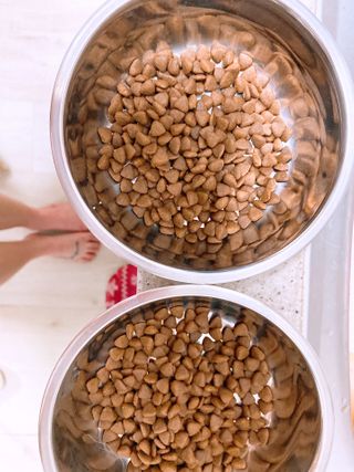 [풀무원아미오] 건강담은식단 1kg 3종 — 5점을 준 리뷰어가 2021년 2월 올린 사용 사진