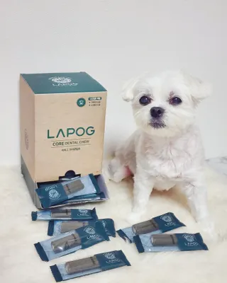 송린깡님이 올린 리뷰 사진 1