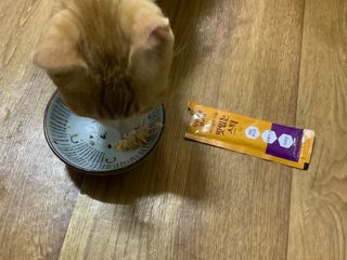 페페로니 맛있는 스틱 - 무항생제 닭고기 15개 + 알래스카 연어 15개 — 5점을 준 리뷰어가 2021년 8월 올린 사용 사진